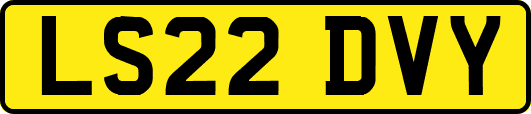 LS22DVY