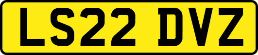 LS22DVZ