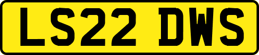 LS22DWS