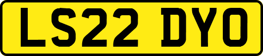 LS22DYO