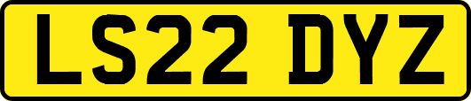 LS22DYZ