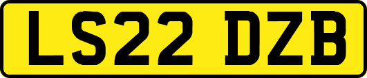 LS22DZB