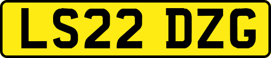 LS22DZG