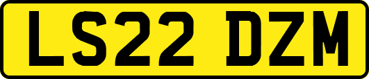 LS22DZM