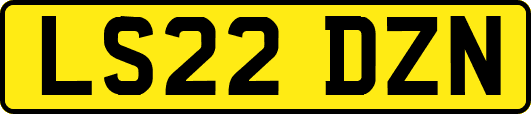 LS22DZN