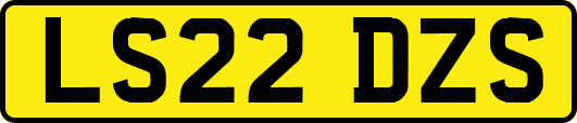 LS22DZS