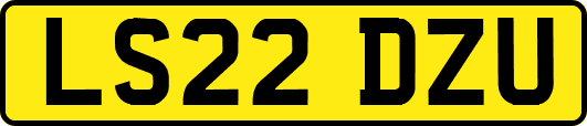 LS22DZU