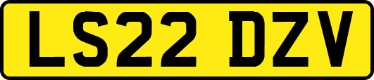 LS22DZV