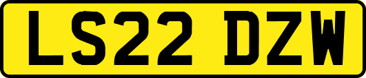 LS22DZW