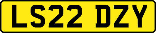 LS22DZY