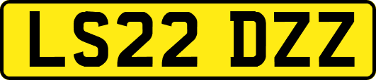 LS22DZZ