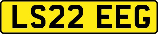 LS22EEG