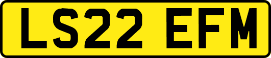 LS22EFM