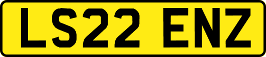 LS22ENZ