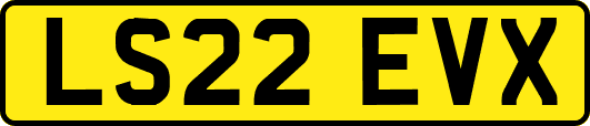 LS22EVX
