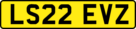 LS22EVZ