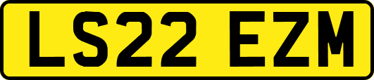 LS22EZM