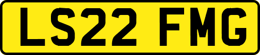 LS22FMG