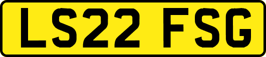 LS22FSG