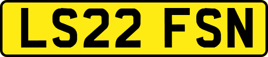 LS22FSN