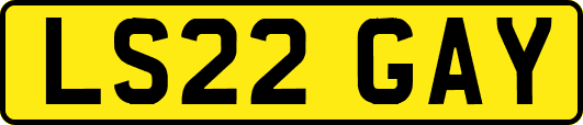 LS22GAY