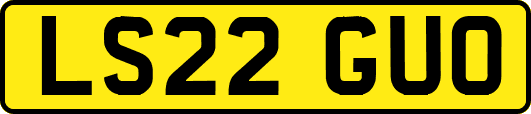 LS22GUO