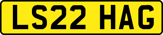 LS22HAG