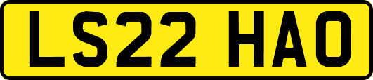 LS22HAO