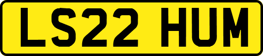 LS22HUM