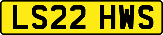 LS22HWS