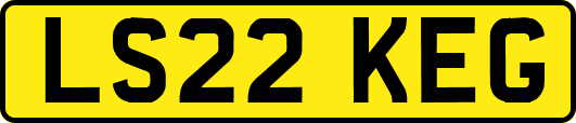 LS22KEG