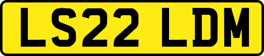 LS22LDM