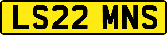 LS22MNS