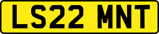 LS22MNT