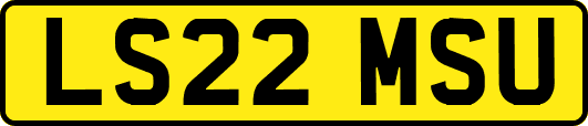 LS22MSU