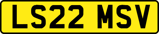 LS22MSV