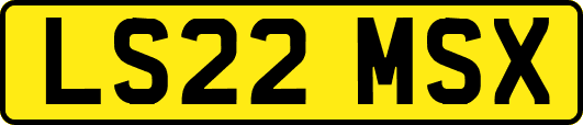 LS22MSX