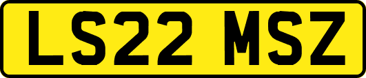 LS22MSZ