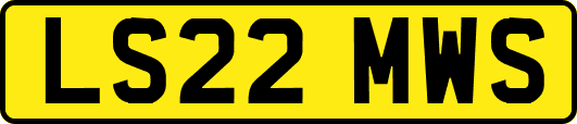 LS22MWS