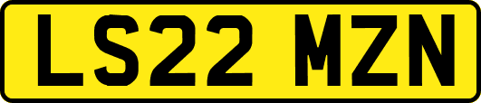 LS22MZN