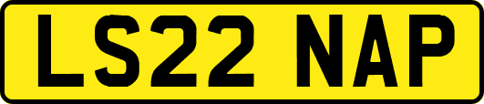 LS22NAP