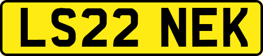 LS22NEK