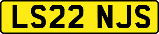 LS22NJS