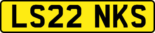 LS22NKS