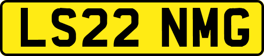 LS22NMG