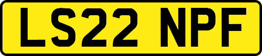 LS22NPF