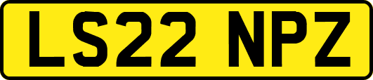 LS22NPZ