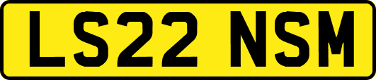 LS22NSM