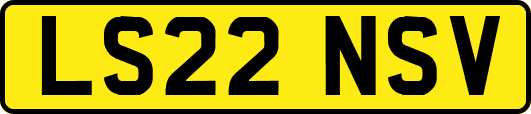 LS22NSV