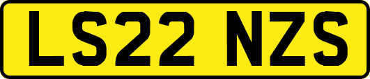 LS22NZS